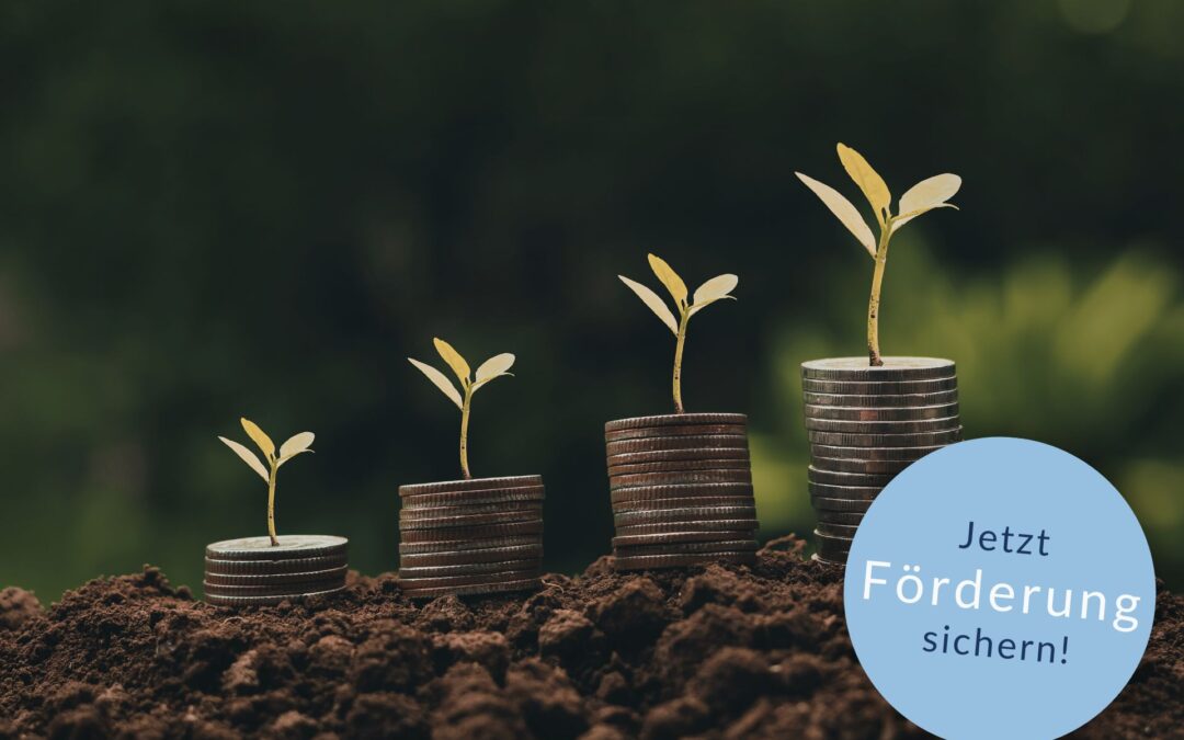KfW-Förderkredite für nachhaltige Investitionen im Mittelstand