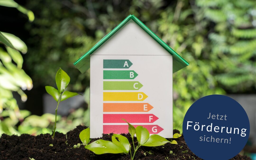 Energieeffizienz in Unternehmen – Förderprogramme für den Mittelstand